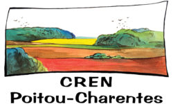 logo_crenpc